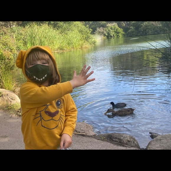 Meet your Posher, Tierney - Picture 3 of 15